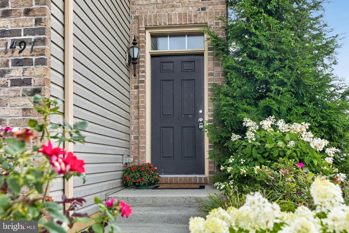 1497 Caspian Street photo 3