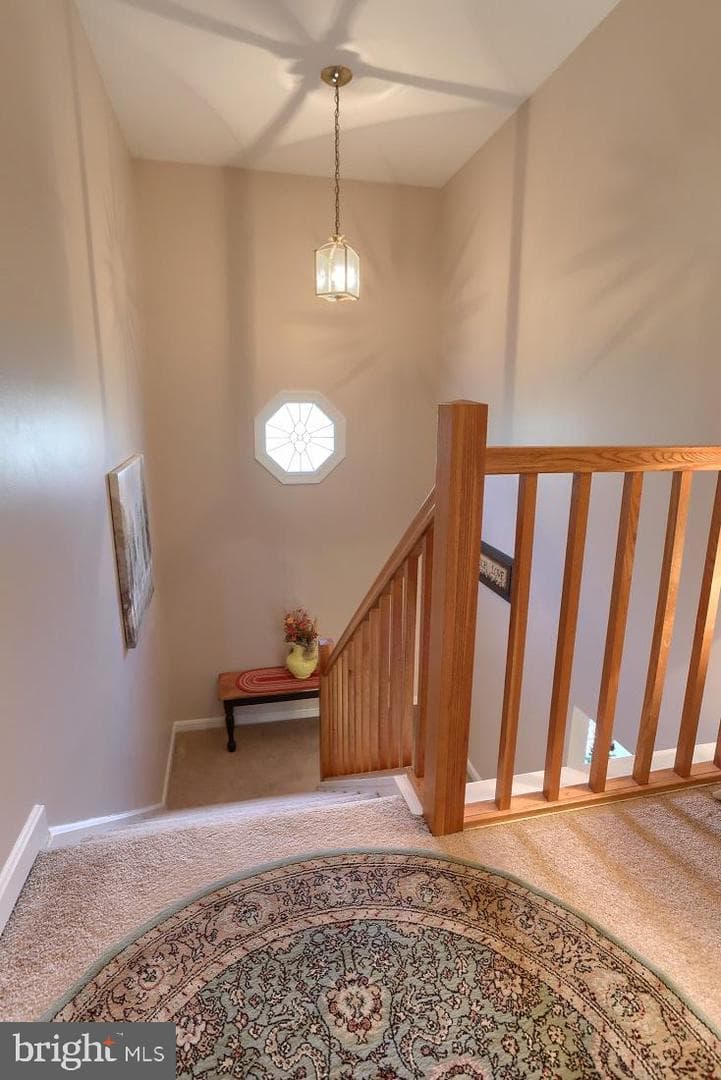 1504 Cambridge Court photo 14