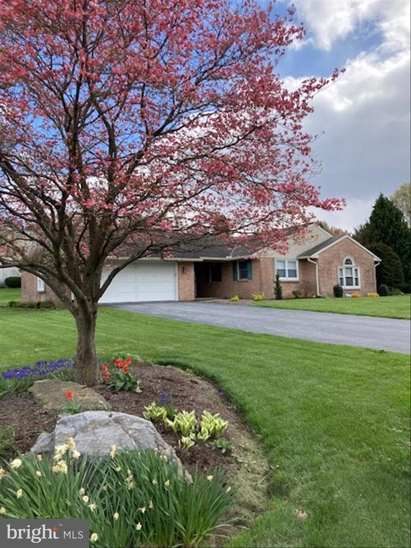 20 Oxford Drive photo 2