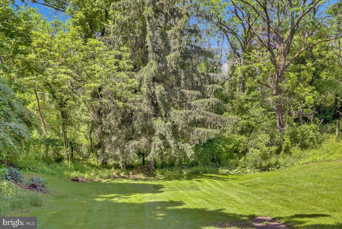 1319 Sandhill Road photo 30
