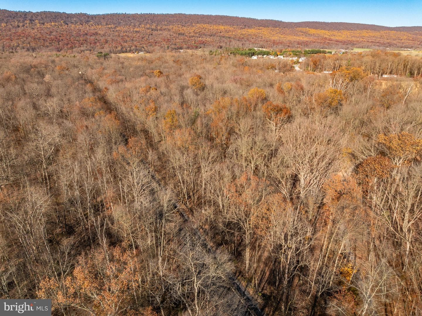 3204 State Route 72 photo 58