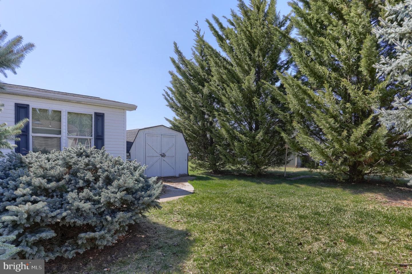 167 Juniper Street photo 9