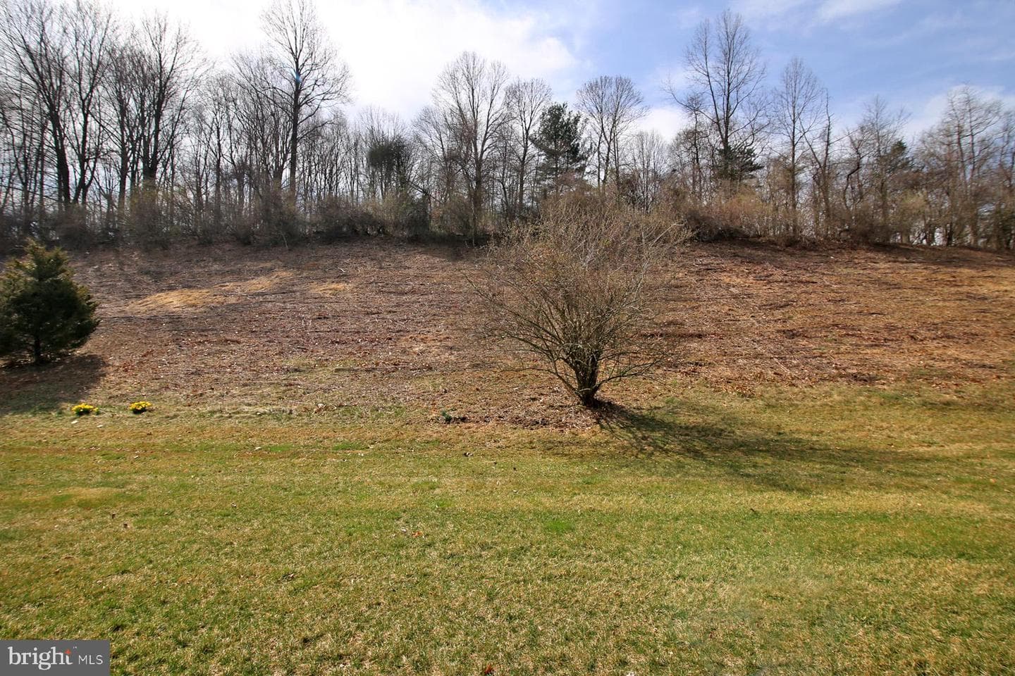 1043 English Drive photo 44