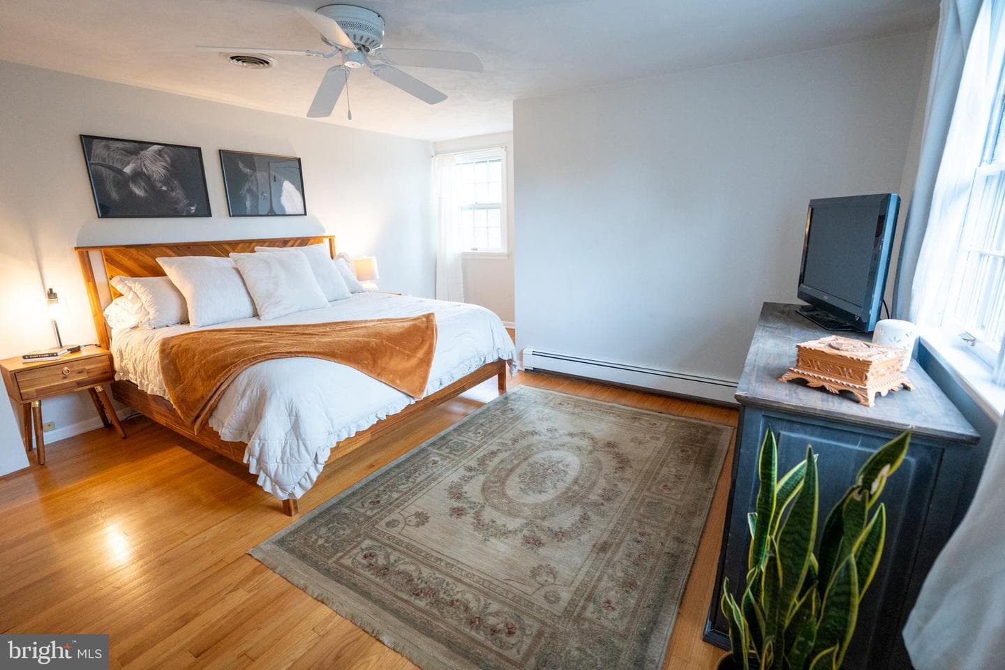 9 Juliada Drive photo 21