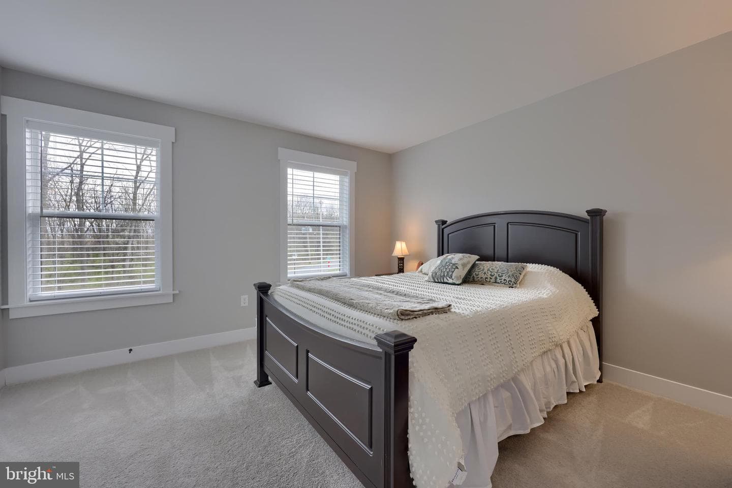 9 Willow Street photo 39