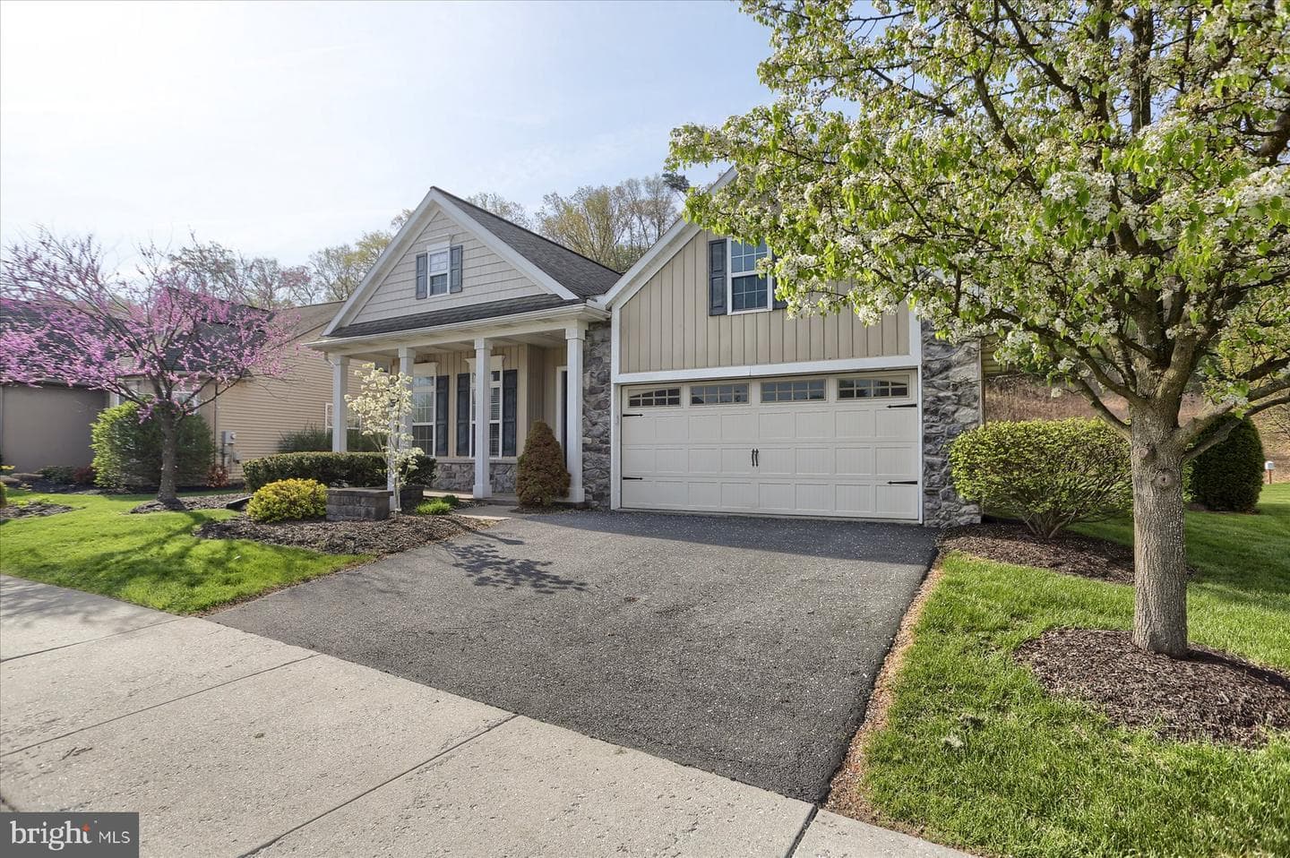 1033 Northgate Drive photo 3