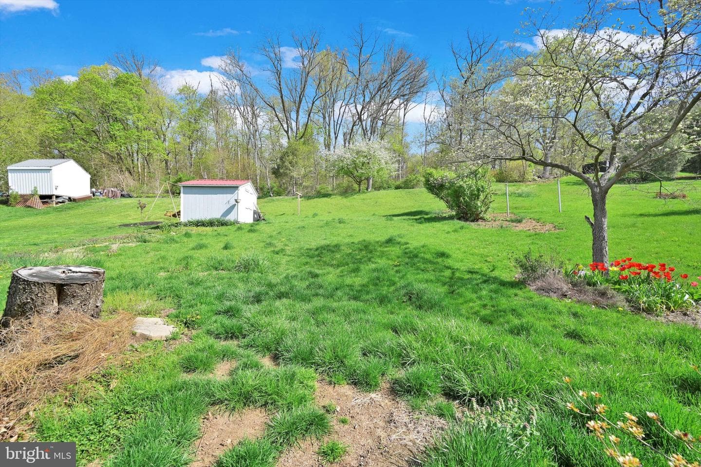 318 Boyd Street photo 23