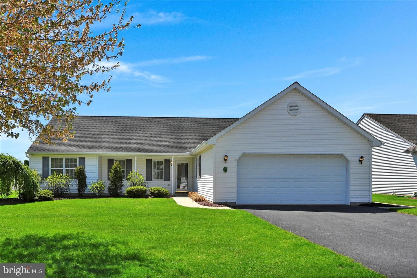 14 Rosemont Drive photo 23