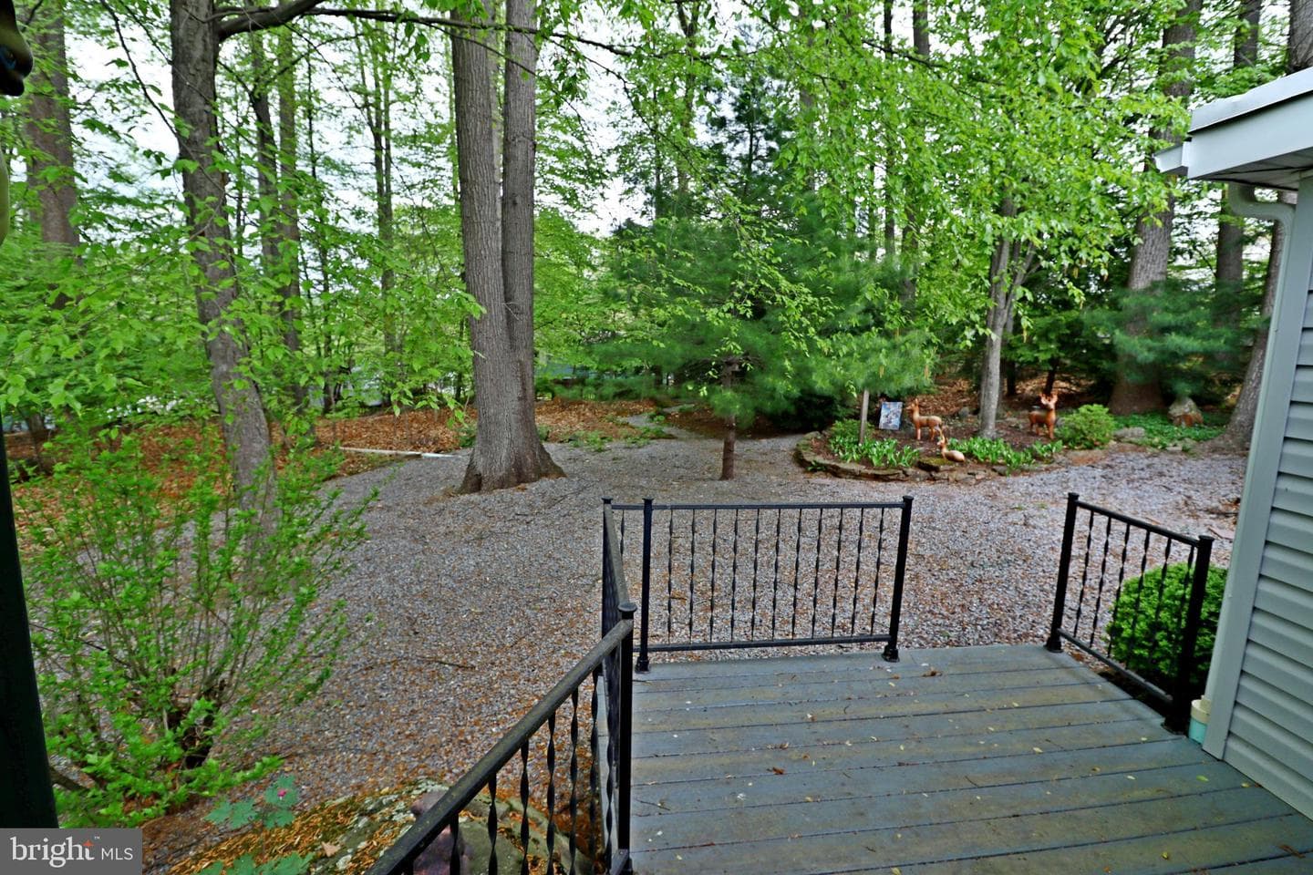 319 Maple Avenue photo 25