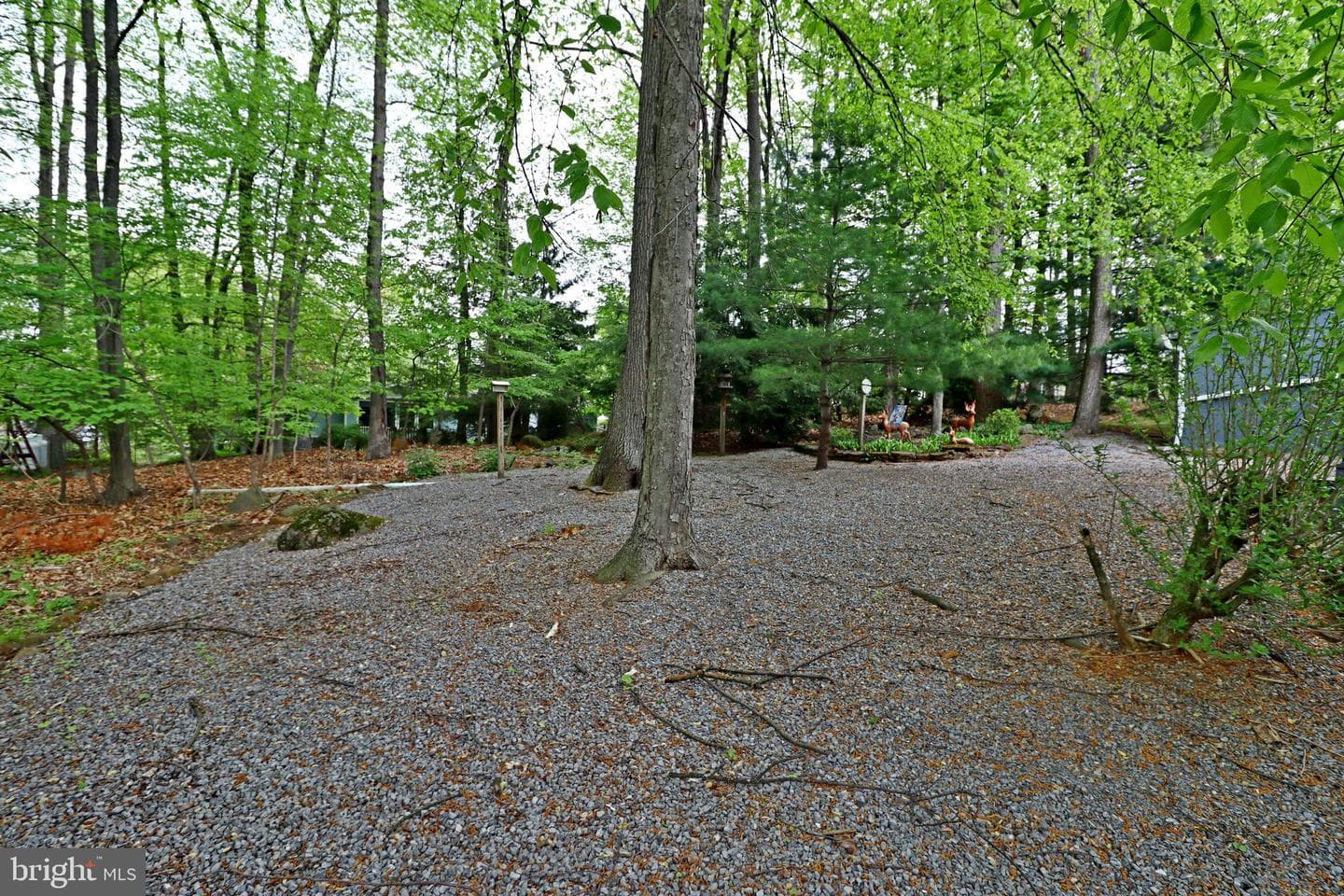 319 Maple Avenue photo 26