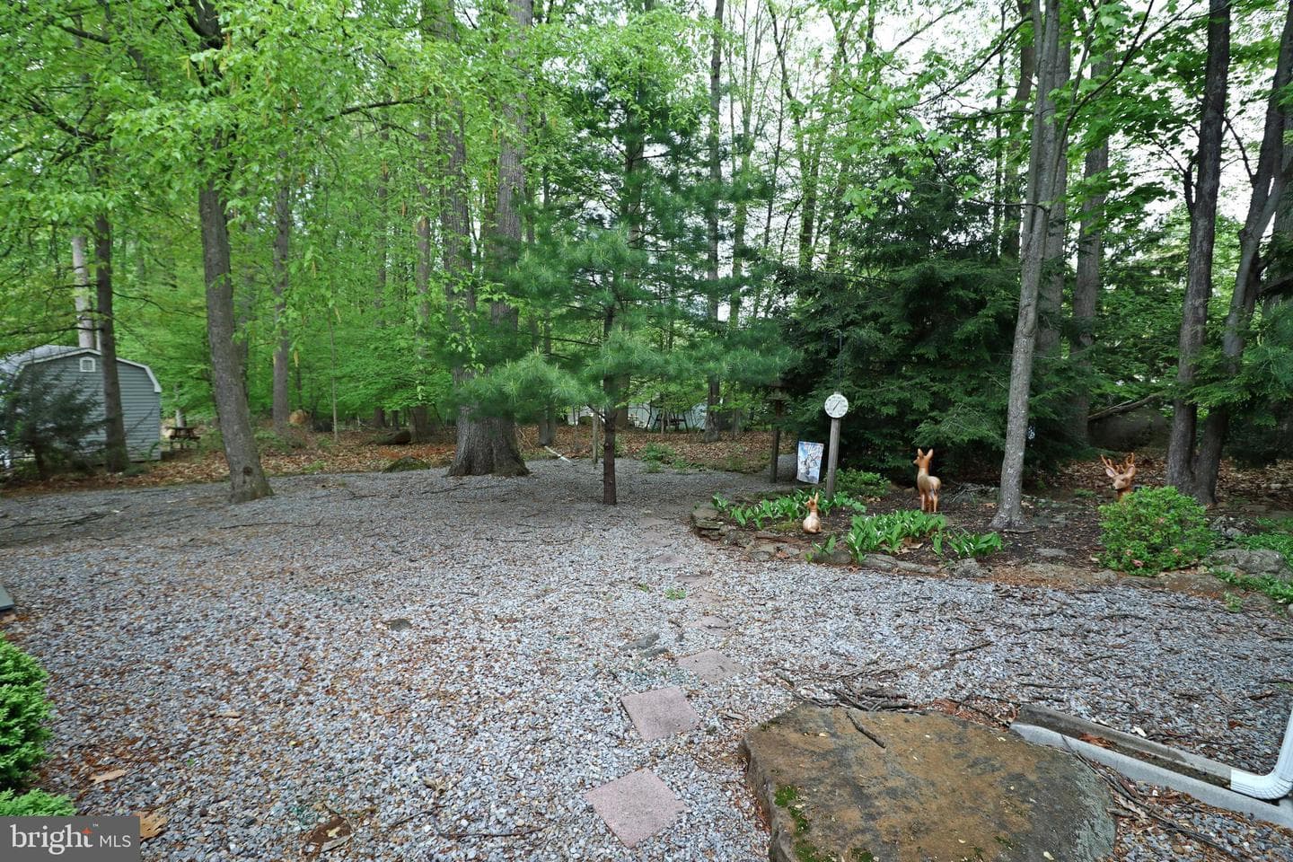 319 Maple Avenue photo 4
