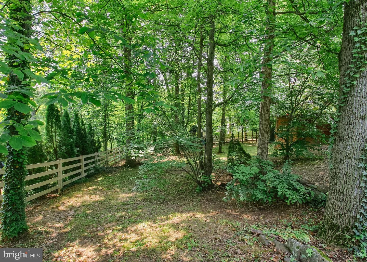 502 Woodland Circle photo 60