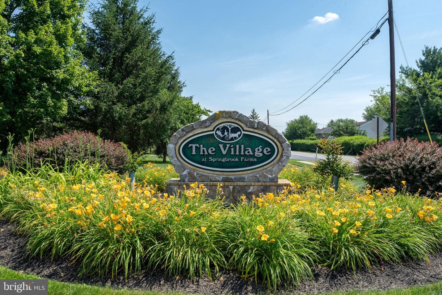 320 Brookwood Drive photo 40