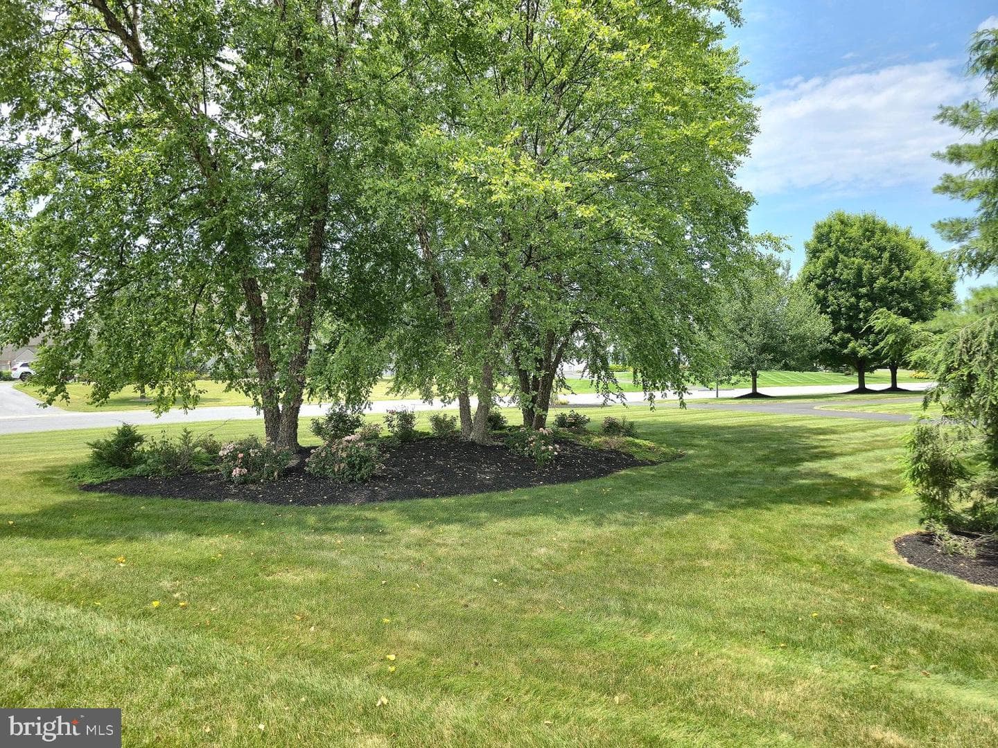 45 Wheatland Circle photo 72