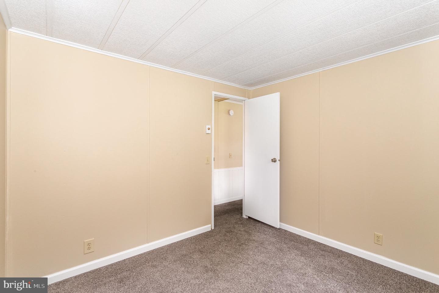 46 Carol Ann Drive photo 21