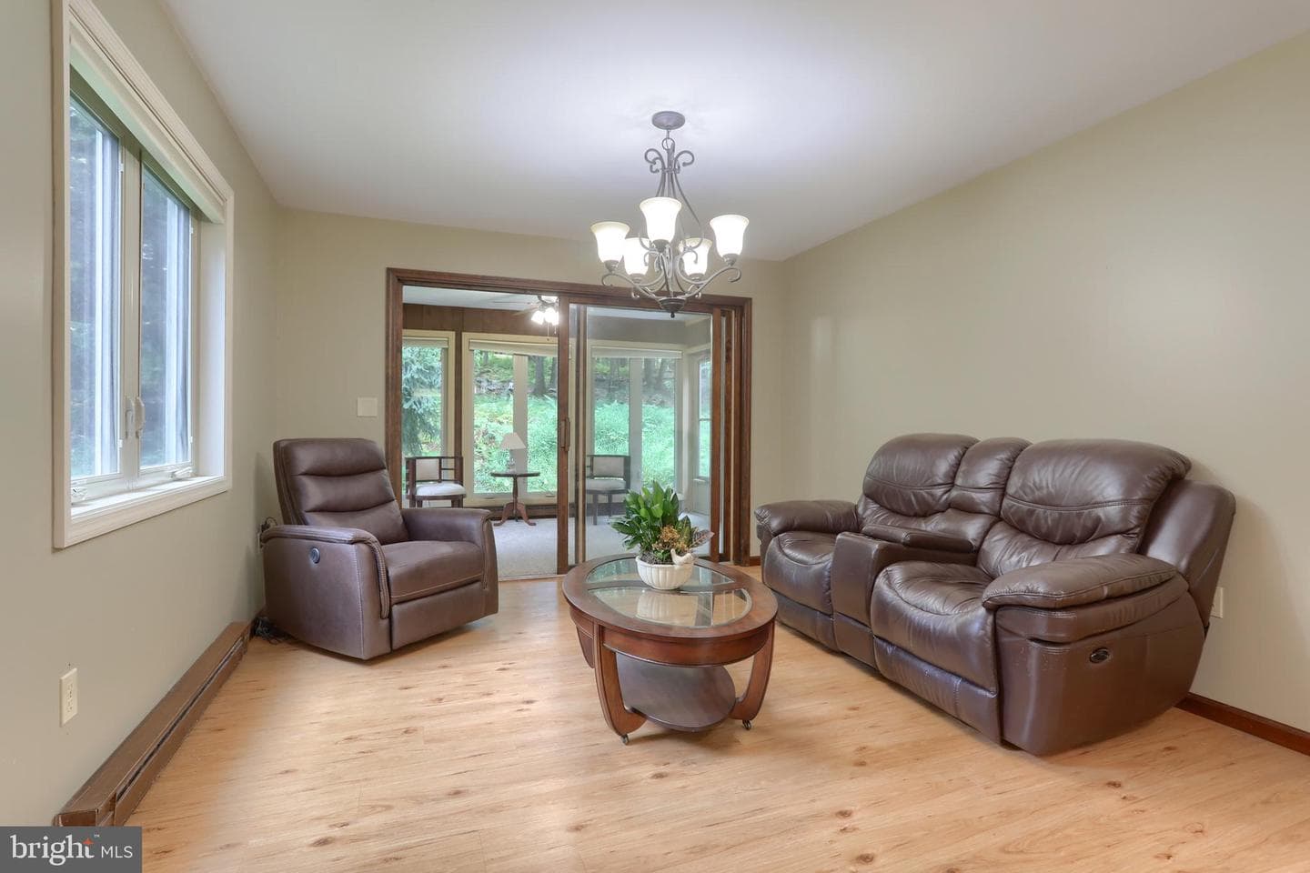903 Tulip Tree Drive photo 13