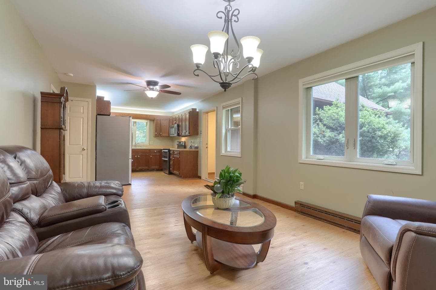 903 Tulip Tree Drive photo 16