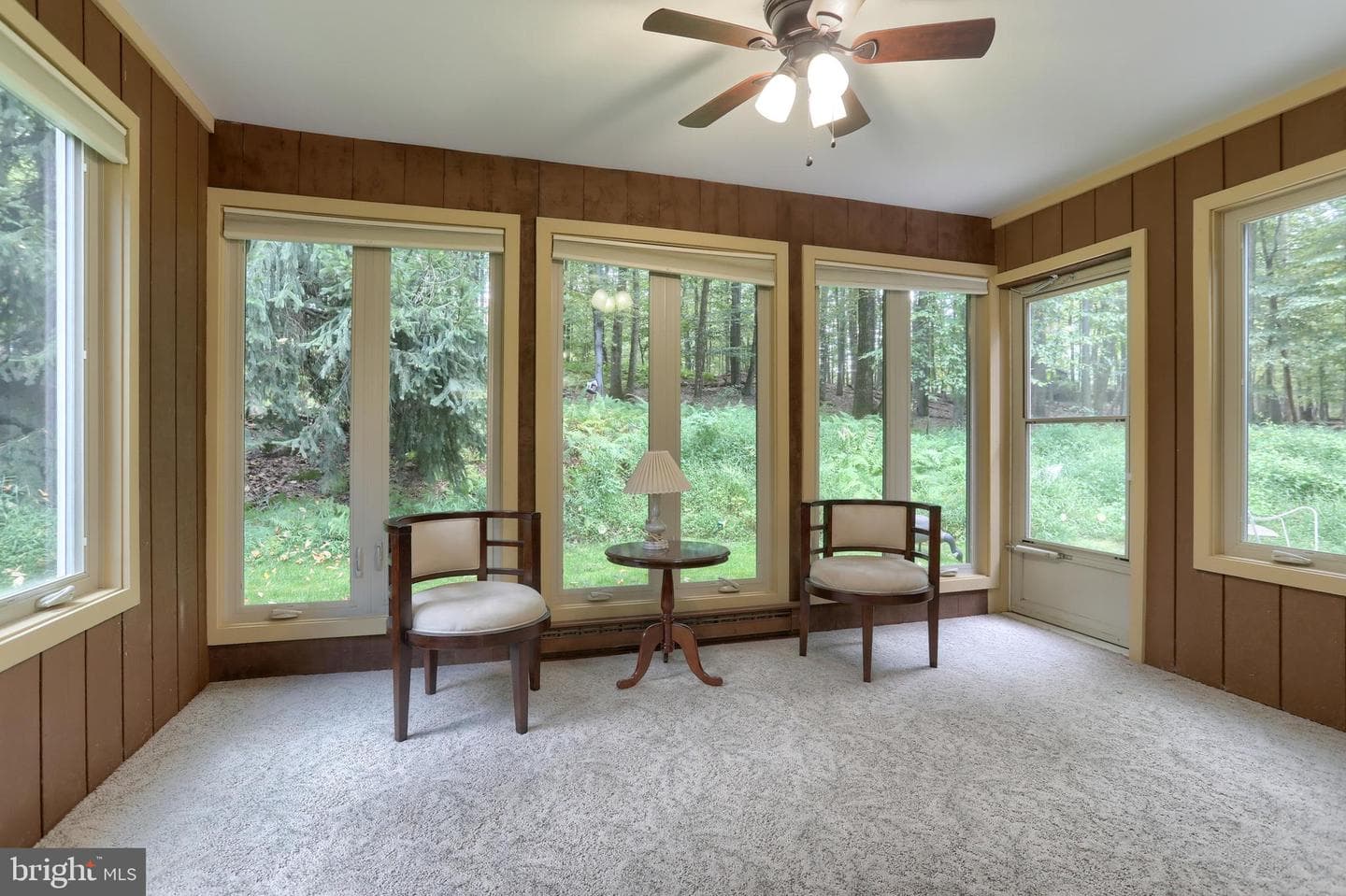 903 Tulip Tree Drive photo 17