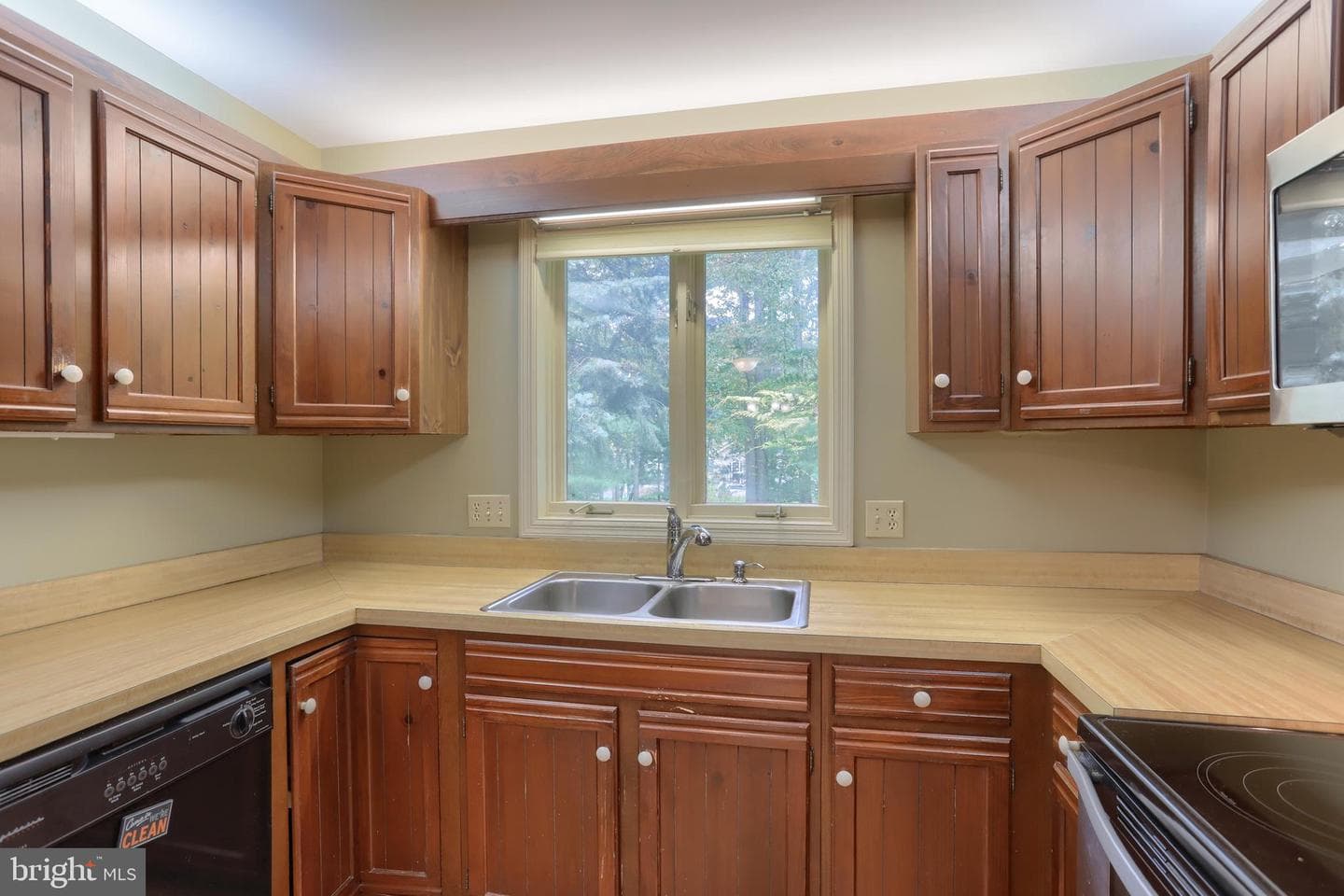 903 Tulip Tree Drive photo 21