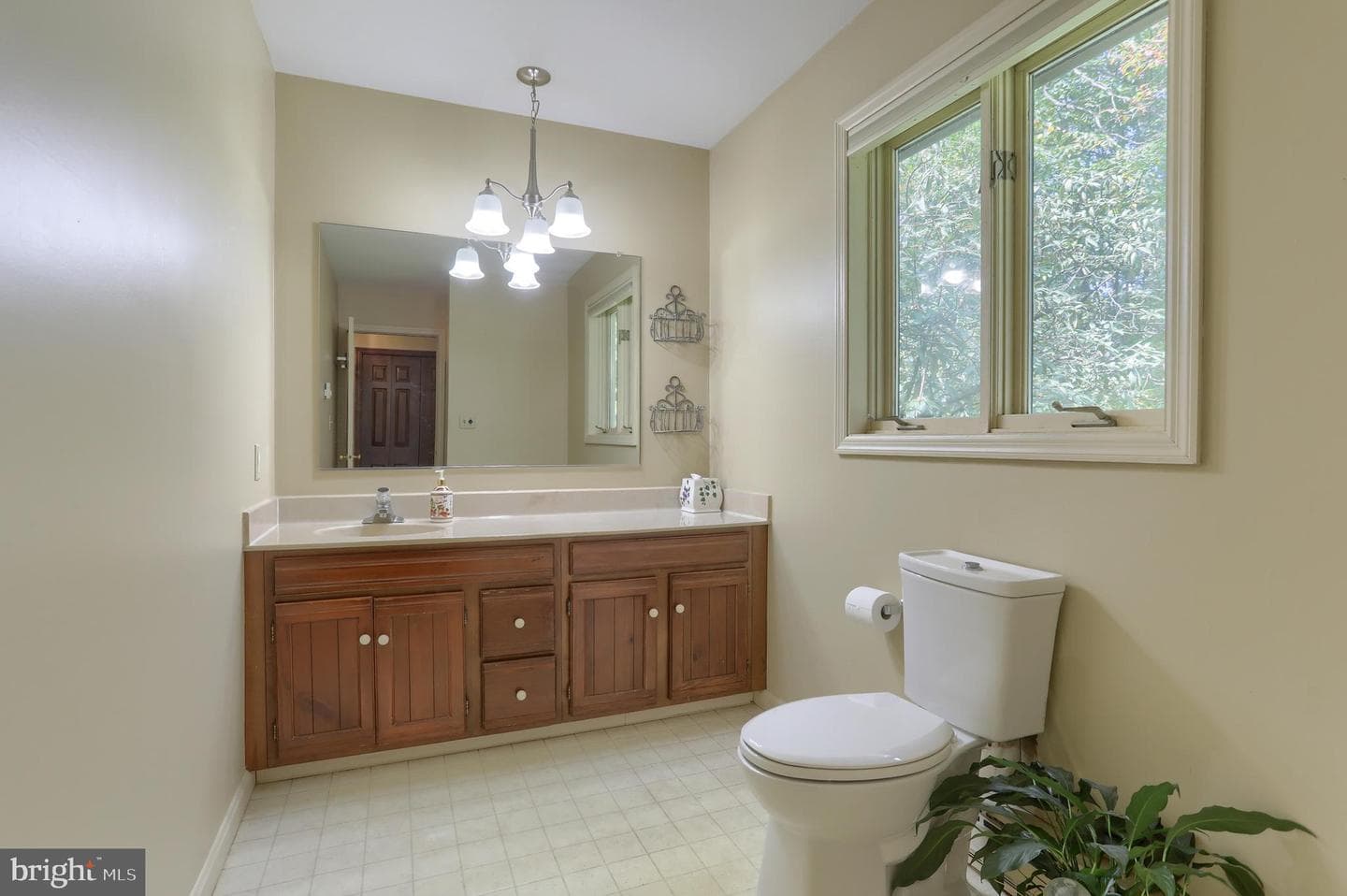 903 Tulip Tree Drive photo 27