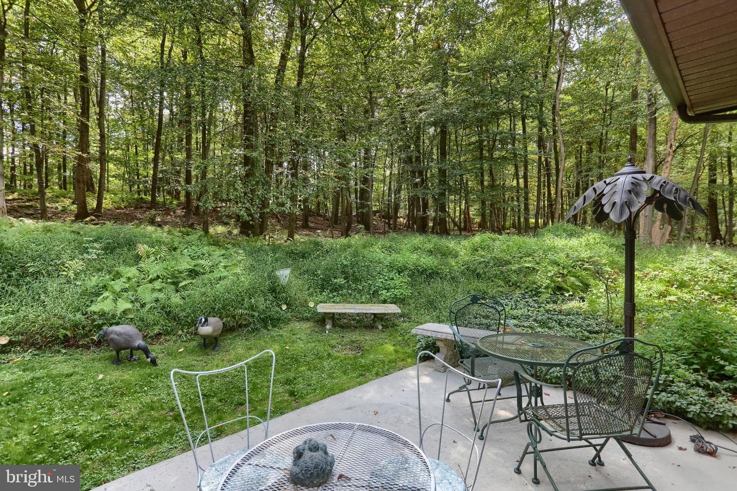903 Tulip Tree Drive photo 37