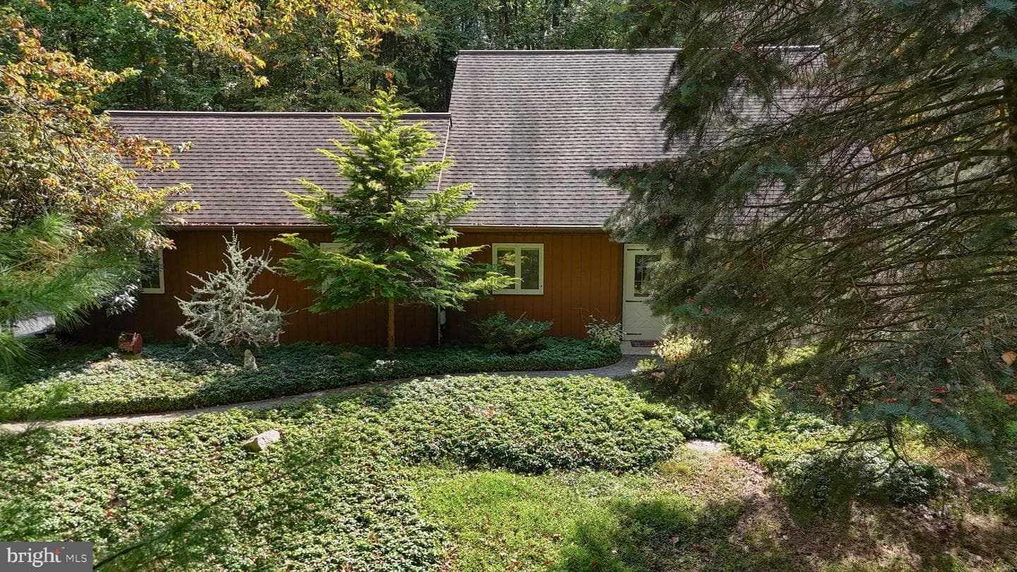 903 Tulip Tree Drive photo 39