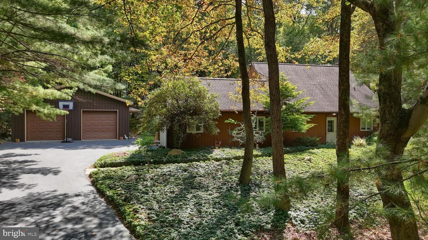 903 Tulip Tree Drive photo 4