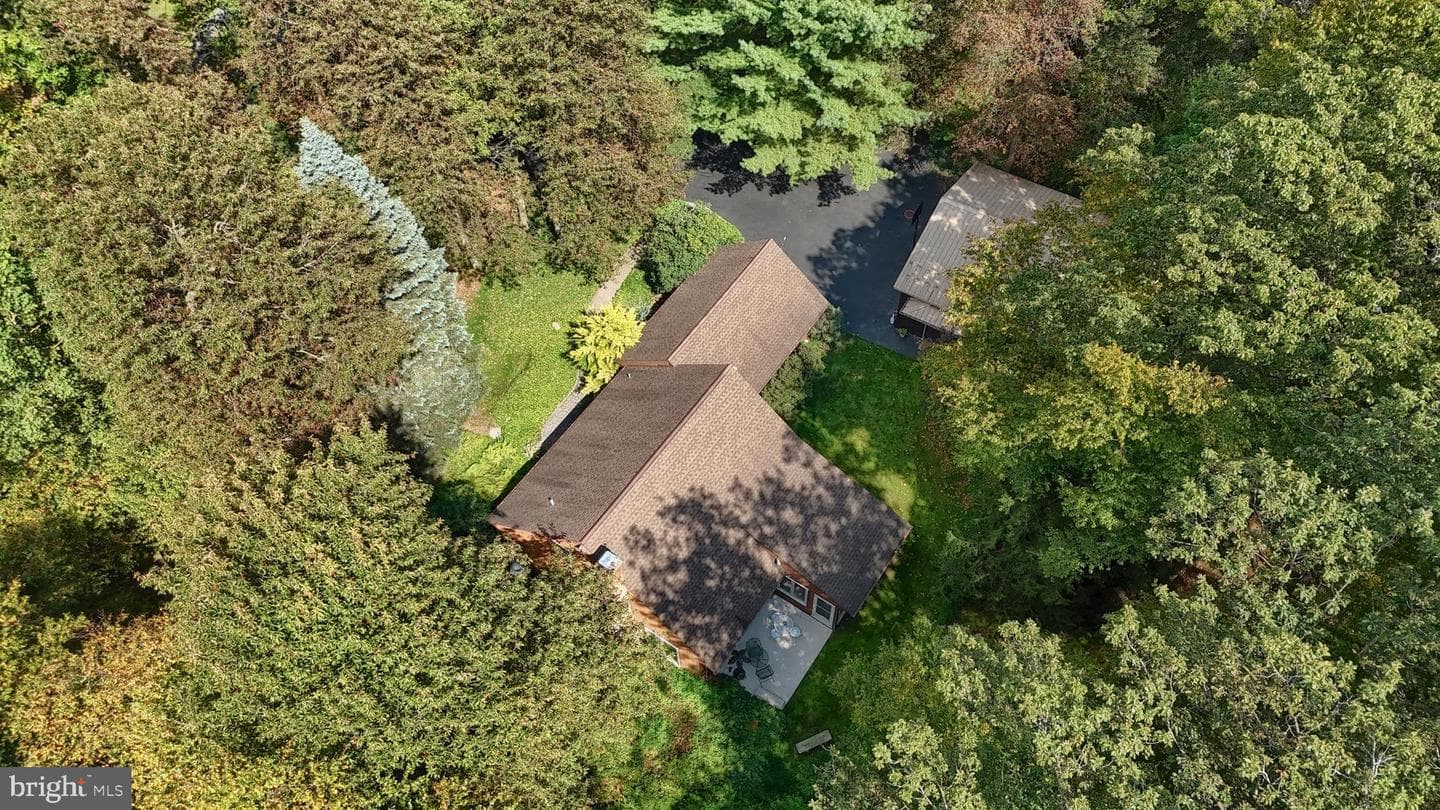 903 Tulip Tree Drive photo 47
