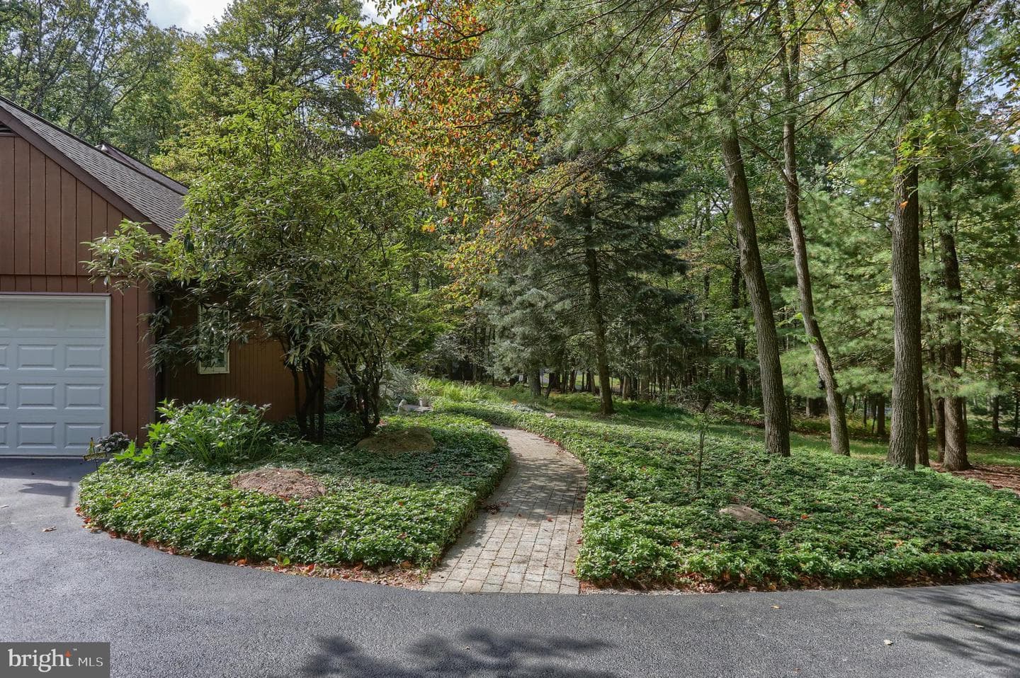 903 Tulip Tree Drive photo 5