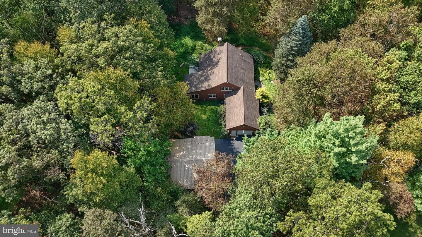 903 Tulip Tree Drive photo 51