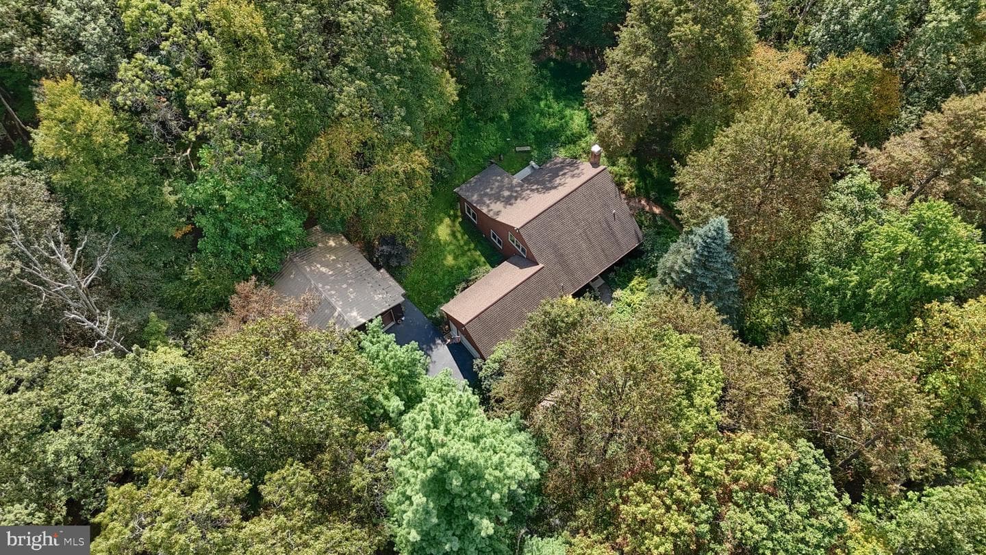 903 Tulip Tree Drive photo 52