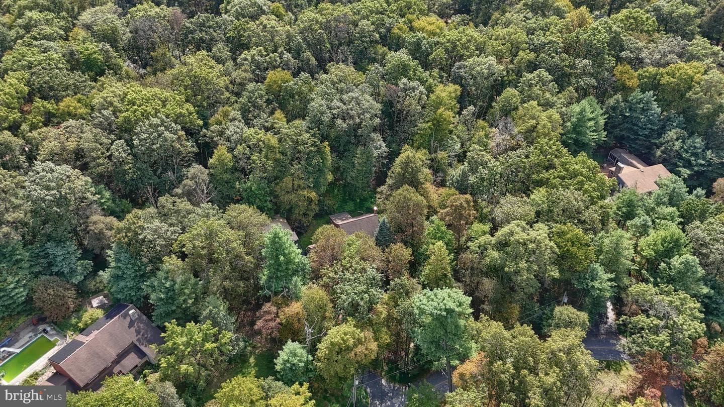 903 Tulip Tree Drive photo 53