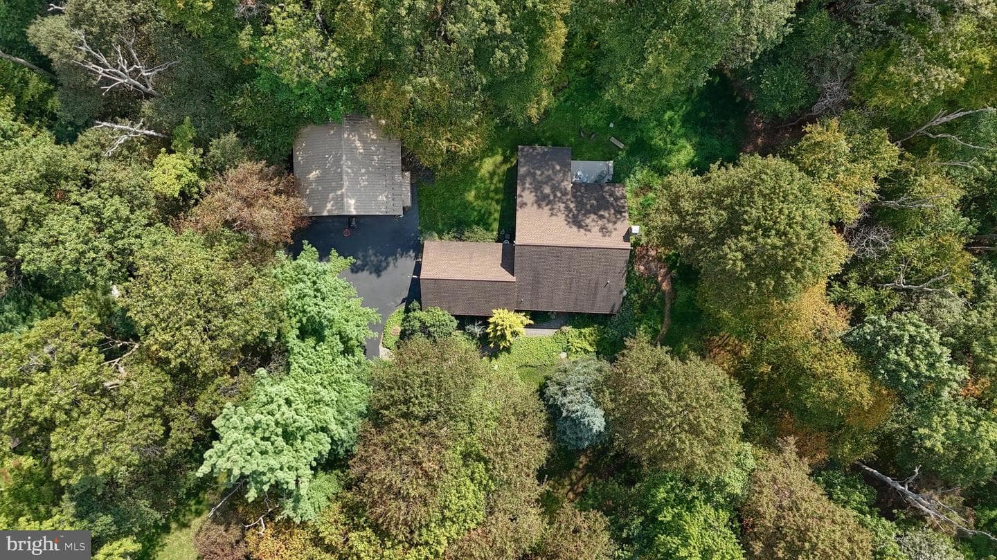 903 Tulip Tree Drive photo 56