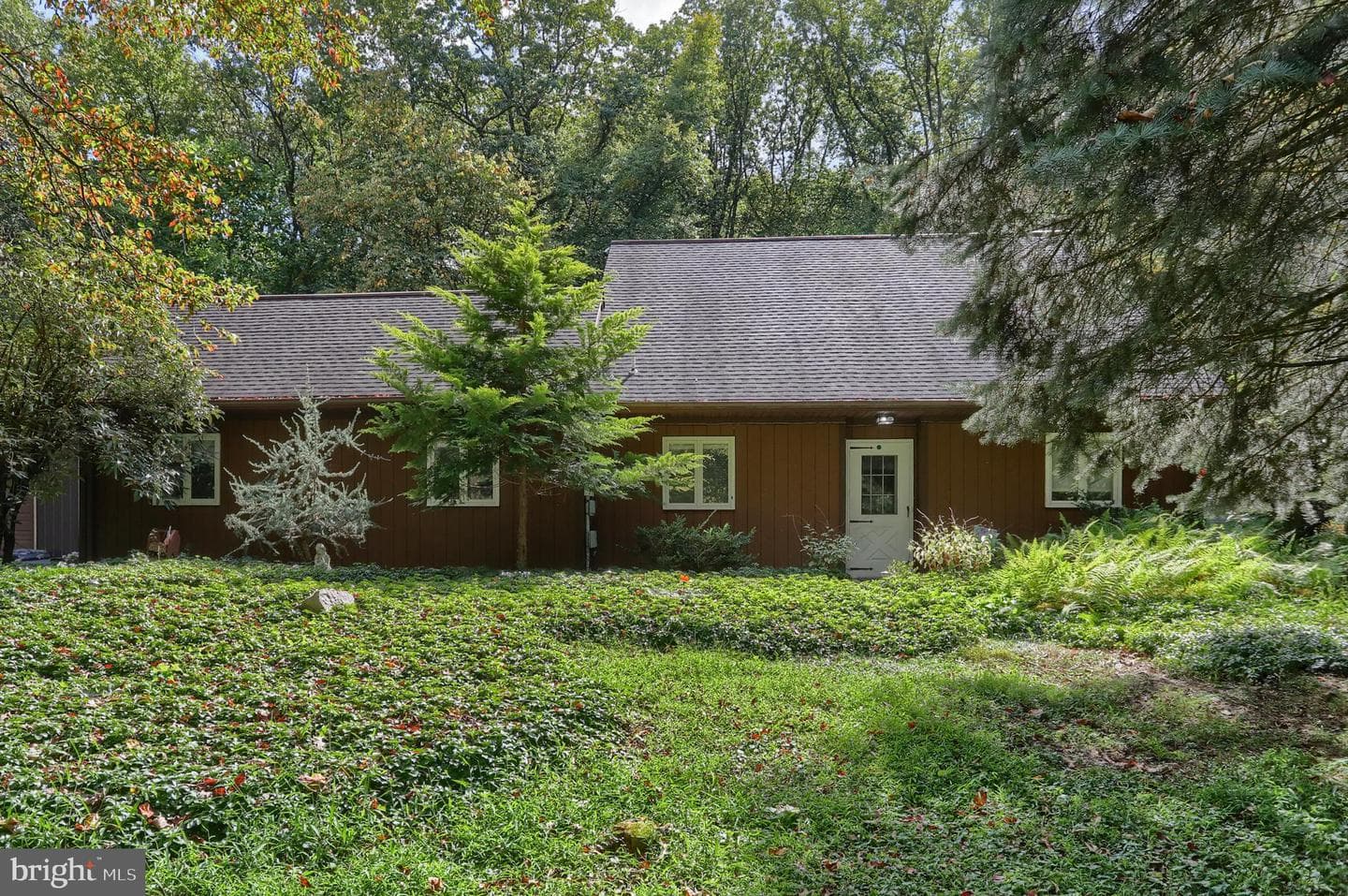 903 Tulip Tree Drive photo 6