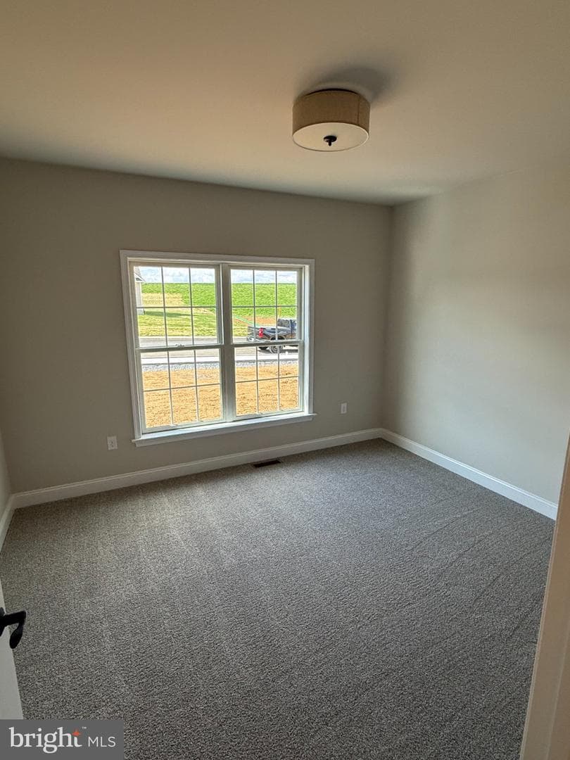 111 Starlight Lane photo 17