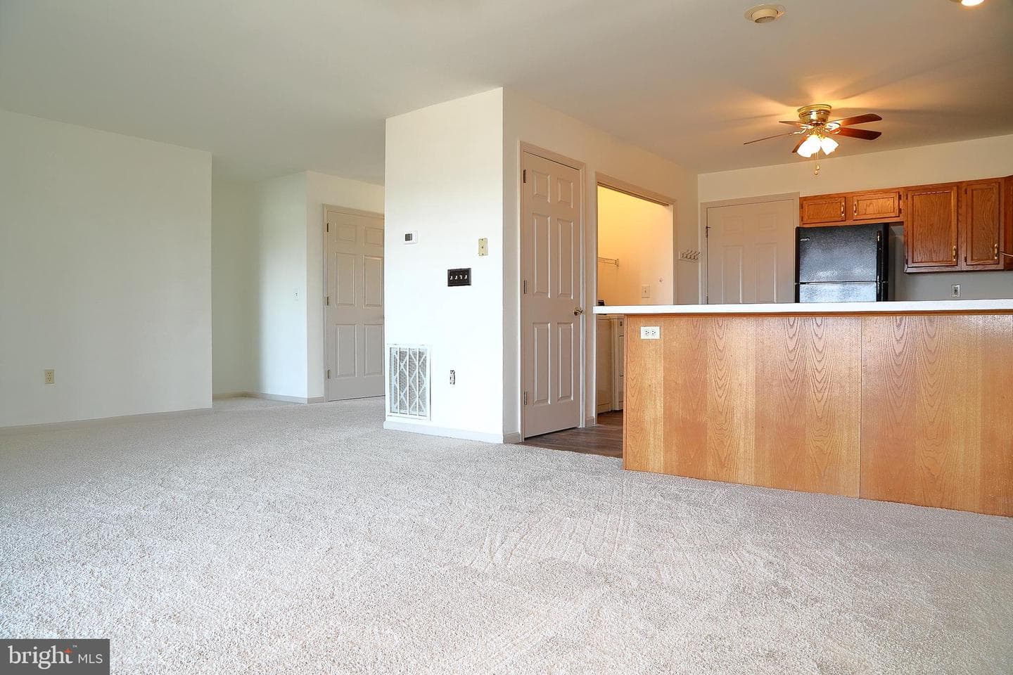 597 Blueberry Lane photo 11