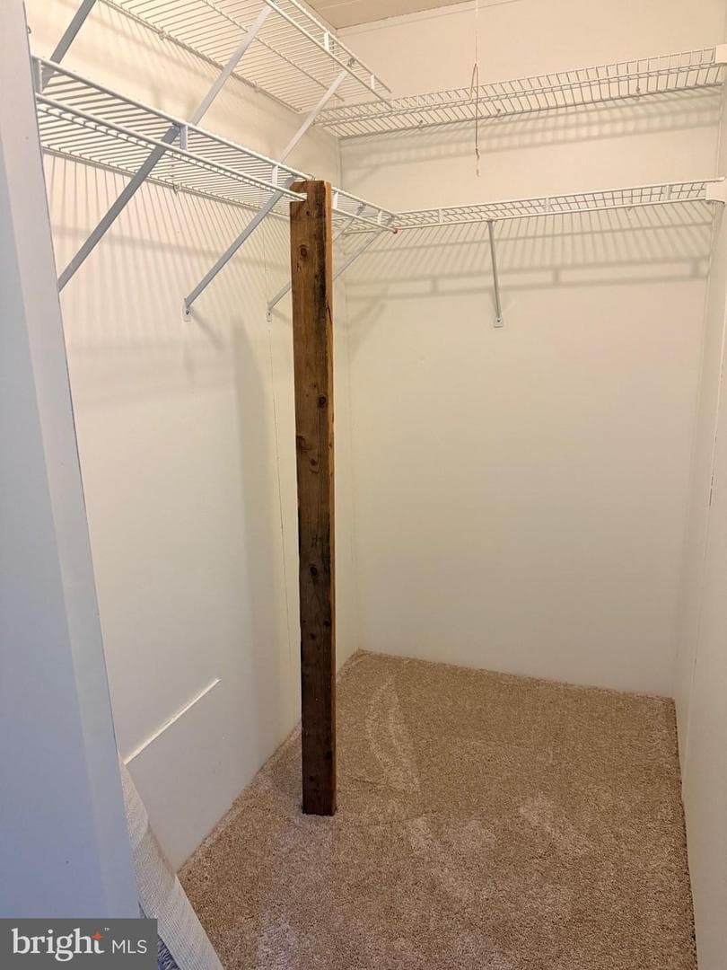 303 Maple Ave Tp-0211 photo 12