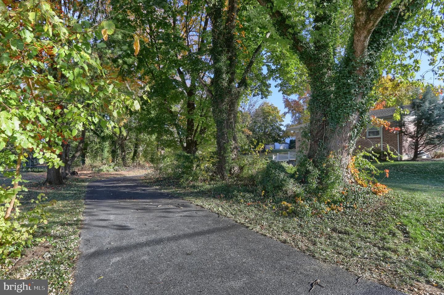 508 Noble Street photo 37