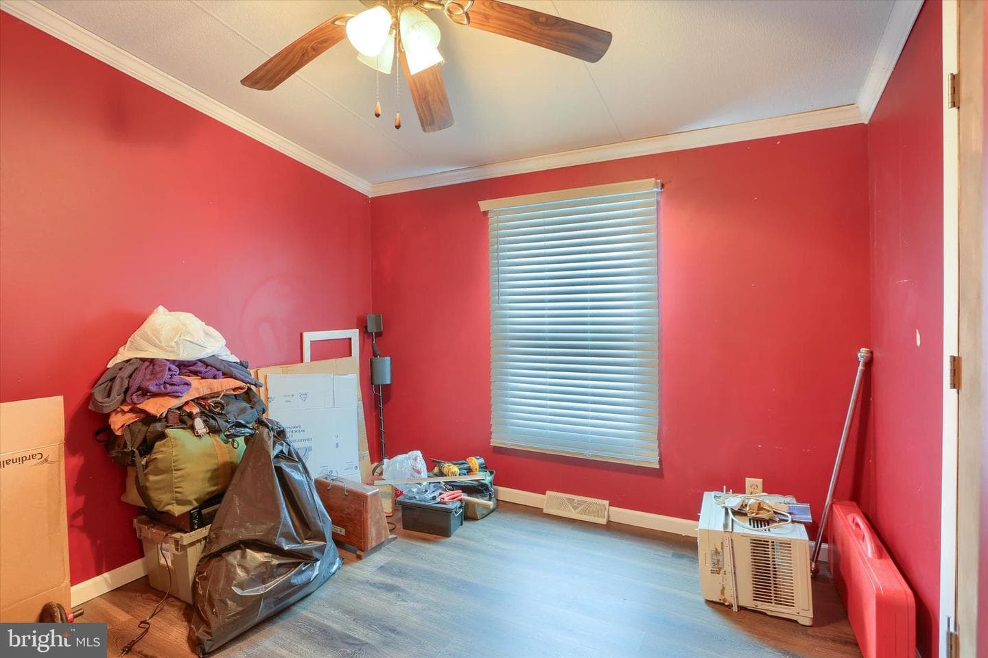 24 Reo Dr photo 20