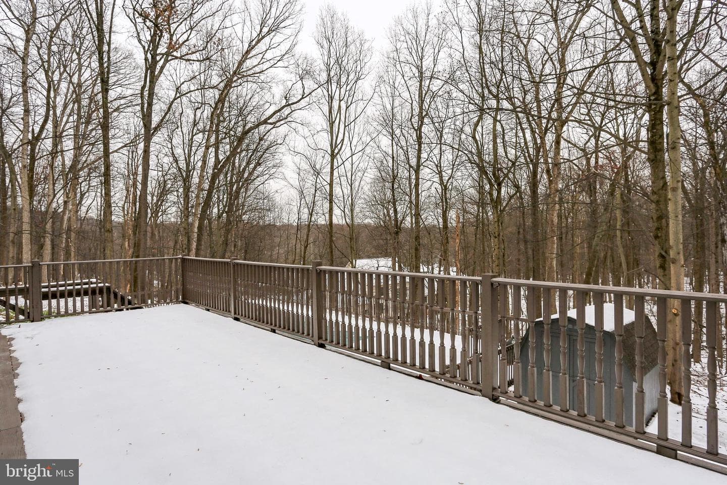 175 Timber photo 33