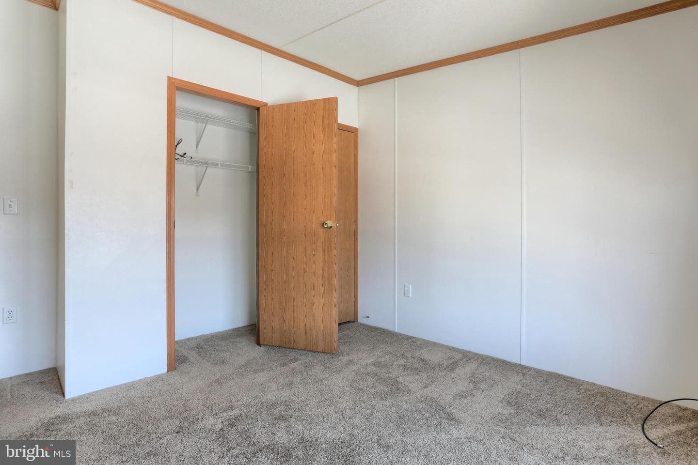 22 Elizabeth Ave Tp-0065 photo 22