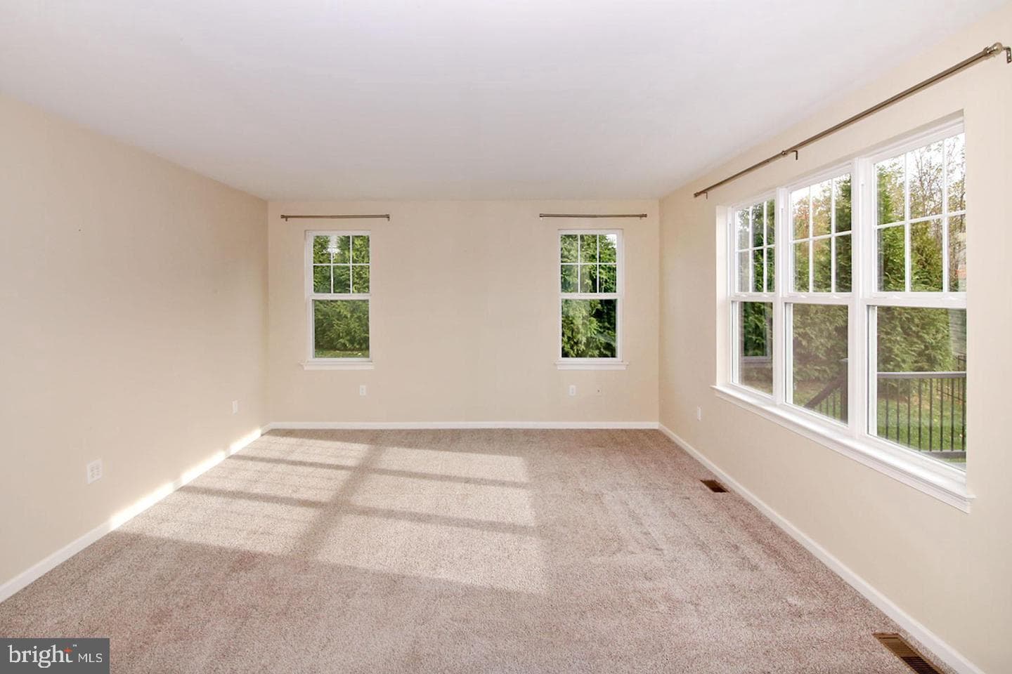 38 Palmer Street photo 6