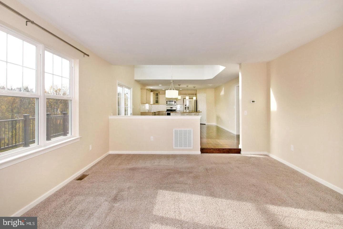 38 Palmer Street photo 8
