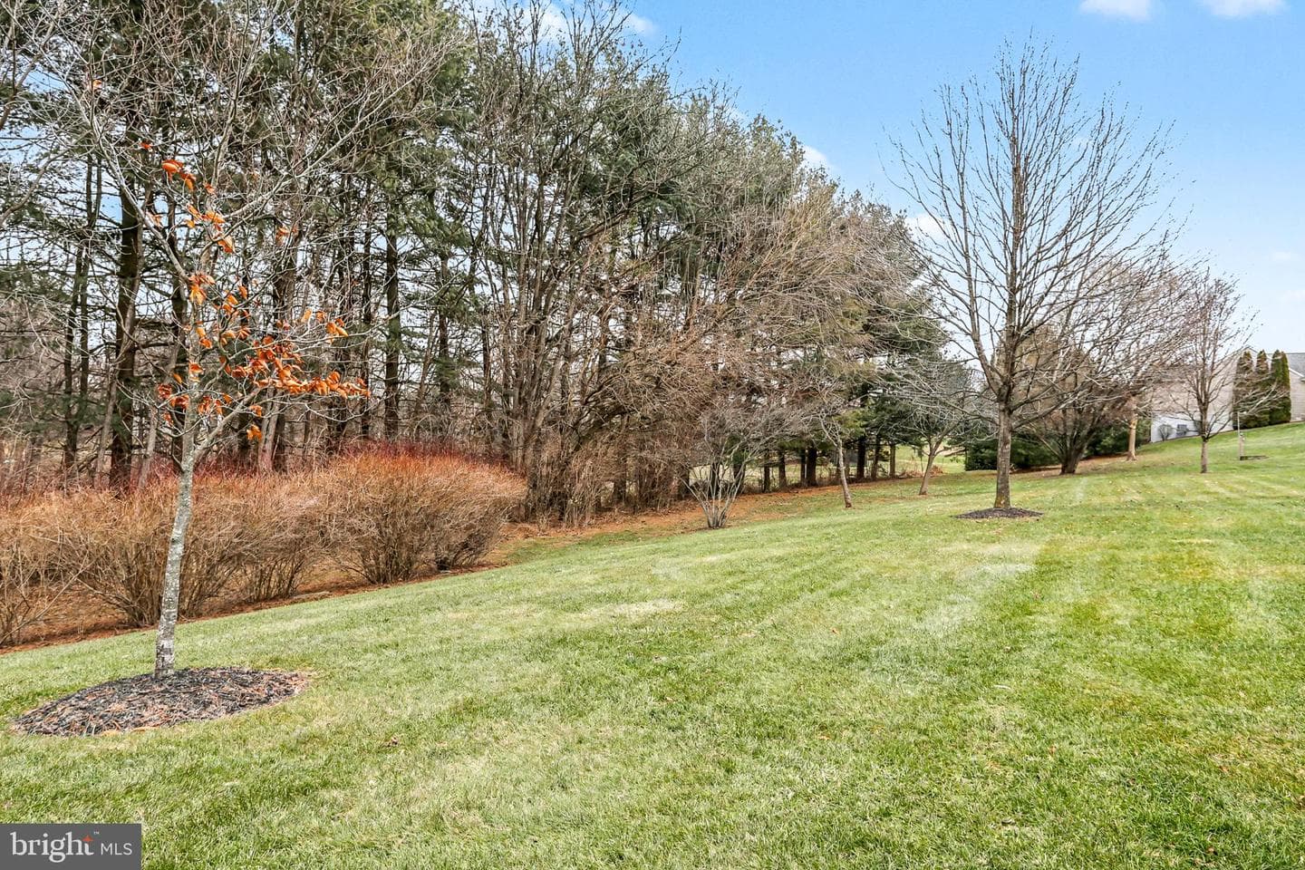 905 Walnut Crest Dr L-0064 Drive photo 48