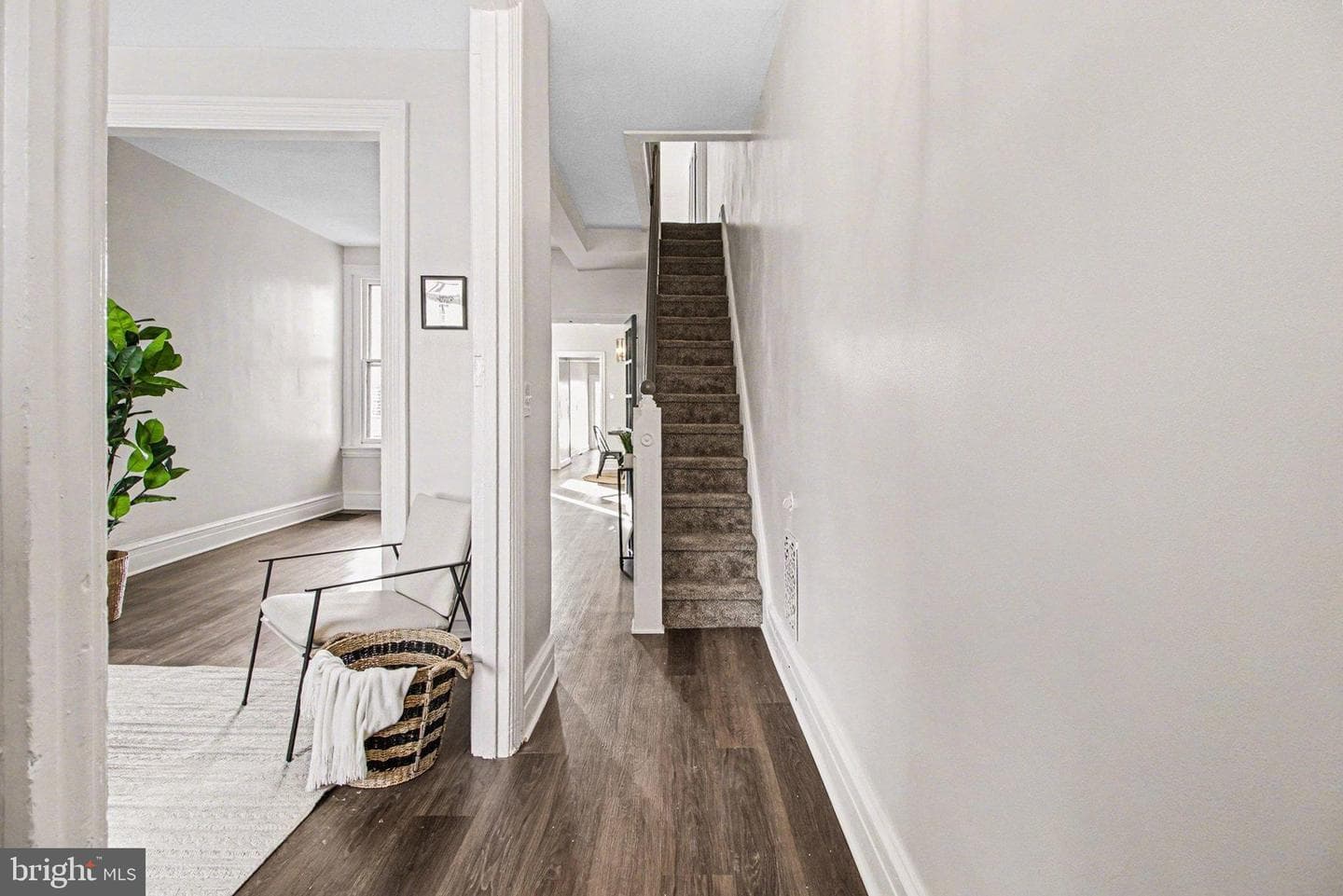 214 Chestnut Street photo 6