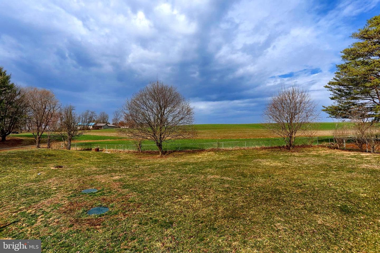 447 Beagle Road photo 44