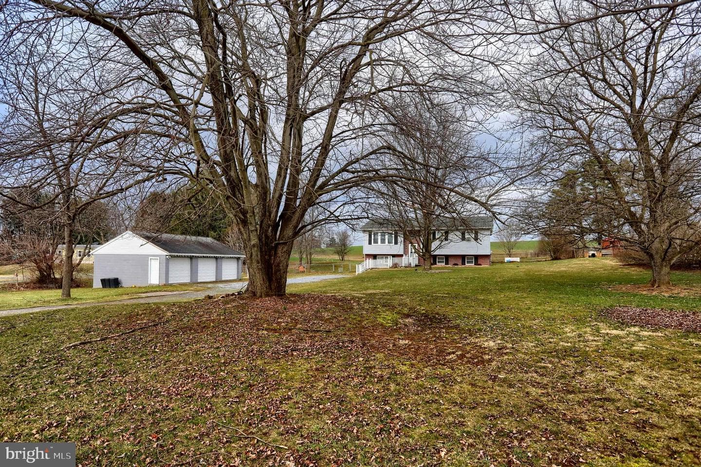 447 Beagle Road photo 6
