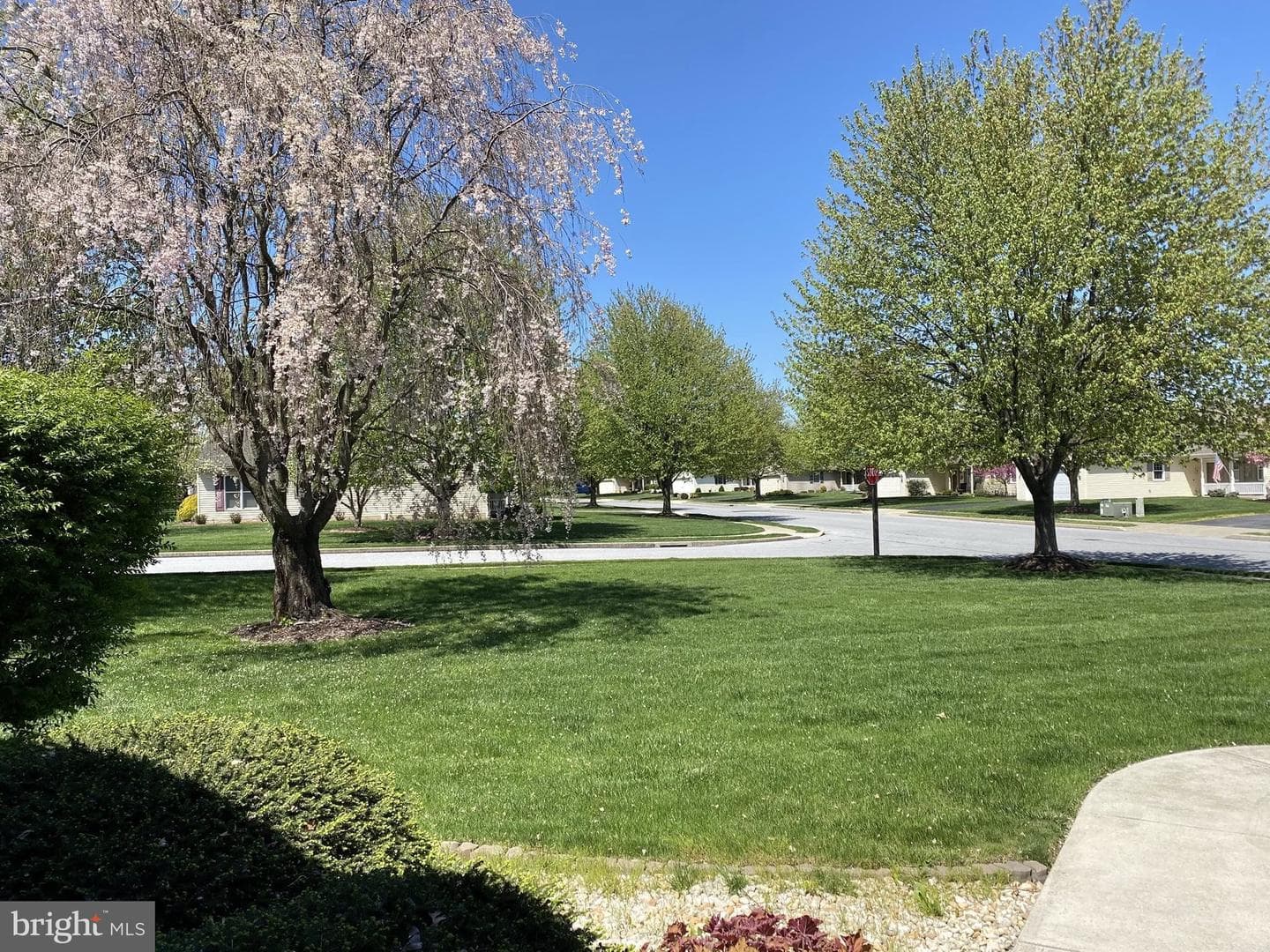 36 Rosemont Drive photo 4
