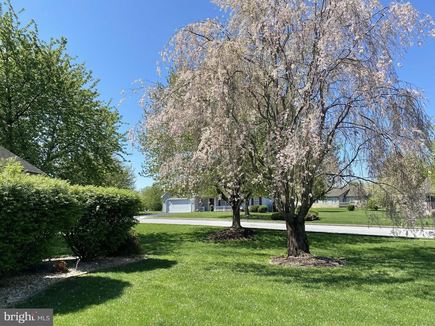 36 Rosemont Drive photo 59