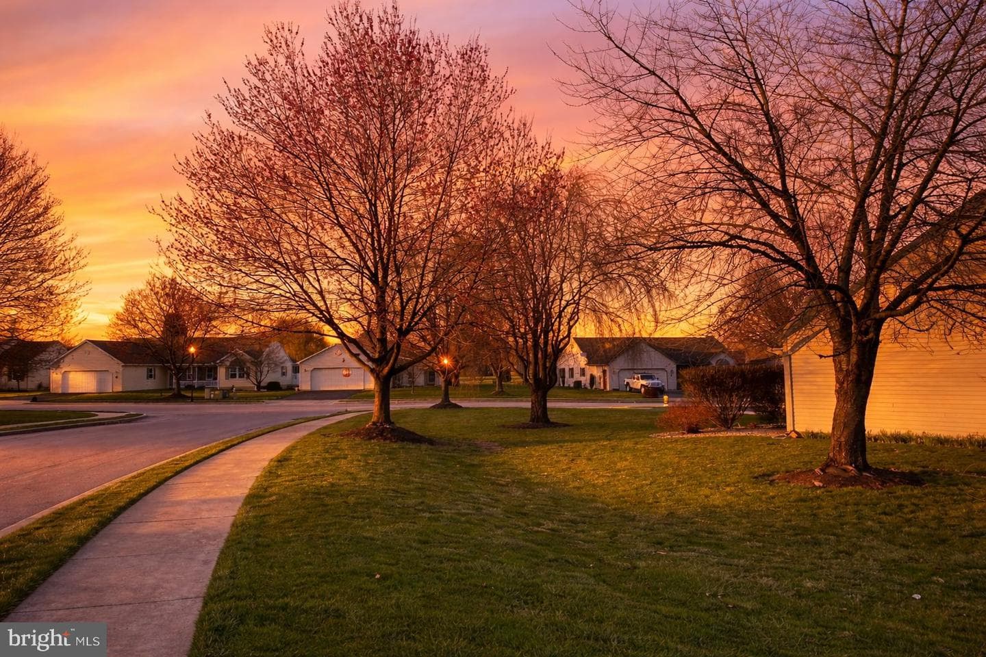 36 Rosemont Drive photo 64